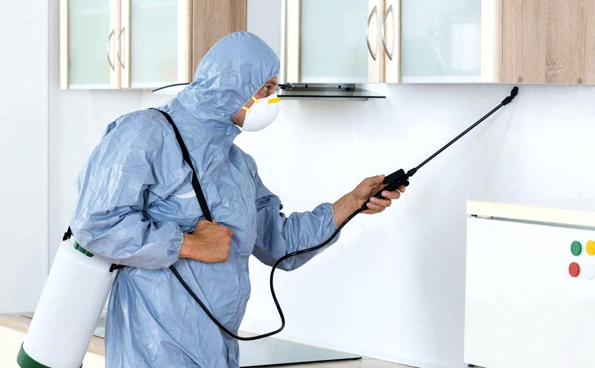 Desratización Condominios